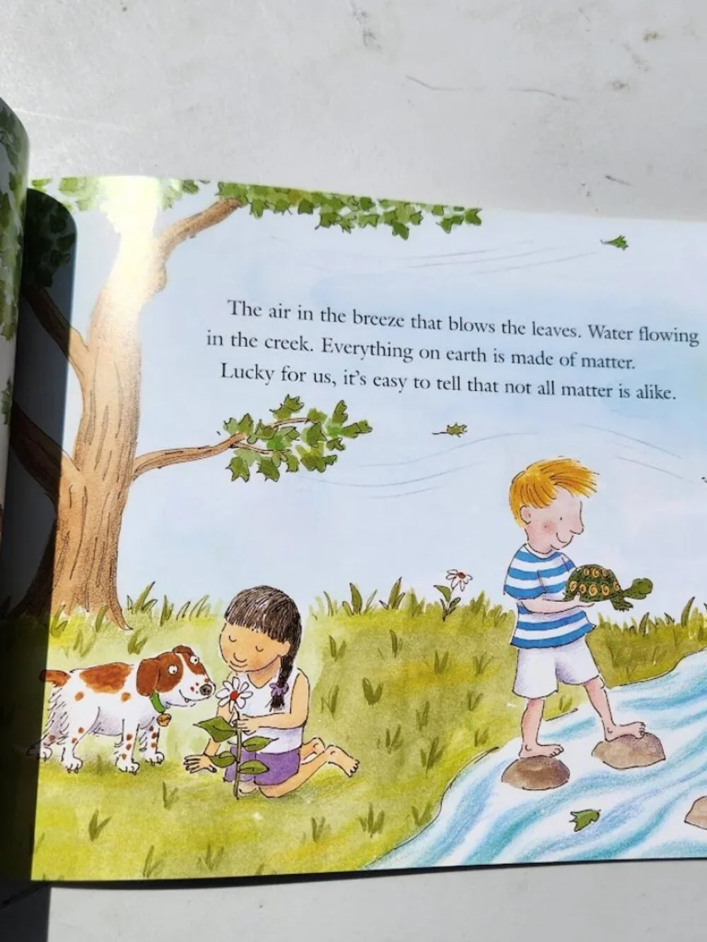 NEW Bookshark Science C Book Bundle Books Magic School Bus Marie Curie Includes:
